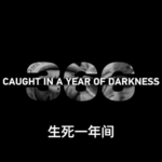 a Year of the Palestinian israeli Conflict Video Poster 