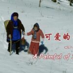 a Palmful of Snow Video Poster 