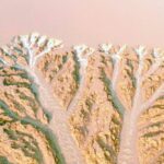 an Aerial View of Dafeng Milu National Nature Reserve Video Poster 