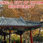 Beijing a City of Charming Biodiversity Video Poster 
