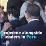 Ceos Convene Alongside Apec Leaders in Peru Video Poster 