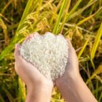 China Works to Reduce Food Loss Waste 