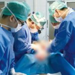 Chinese Scientists Revive Pig Brain That Had Been Dead for 50 Minutes