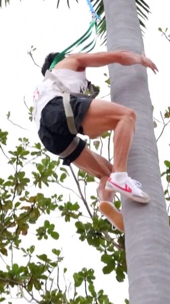 Coconut Tree Climbing Shines at National level Games Video Poster 