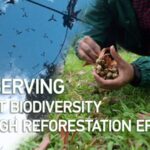 Conserving Forest Biodiversity Through Reforestation Efforts Video Poster 