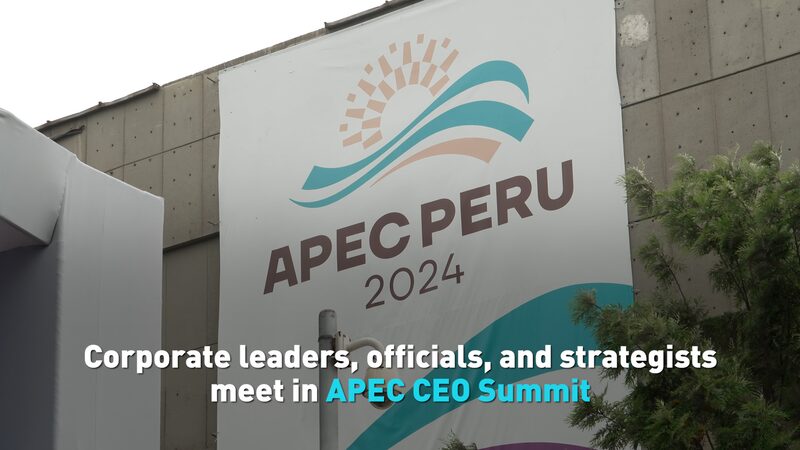 # - My News! Corporate Leaders Officials and Strategists Meet in Apec Ceo Summit Video Poster