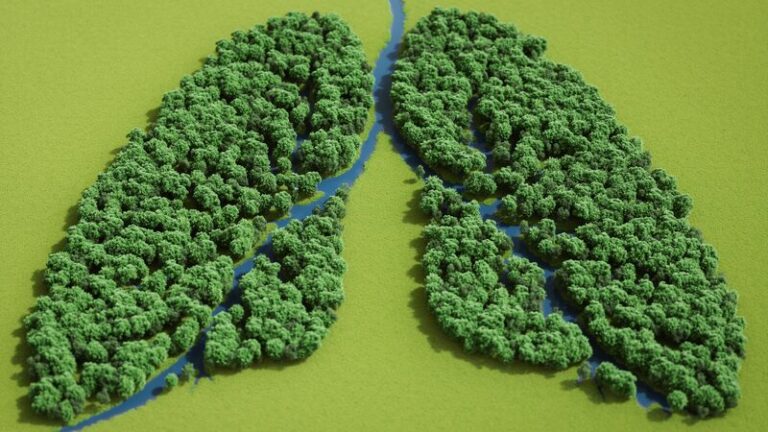Early Screening and Management Safeguarding Lung Health 