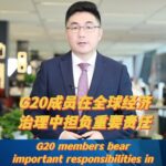G20 Members Play Key Roles in Global Economic Governance Video Poster 