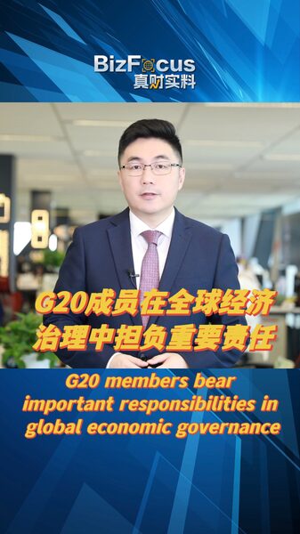 2024 G20 Summit in Brazil: Shaping Global Economic Future G20 members play key roles in global economic governance video poster