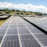 Kenya Plans to Establish Carbon Market 