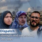 Palestines Strength and Vulnerability in the Past 365 Days Video Poster 