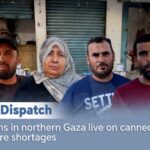Palestinians in N Gaza Live on Canned Food Amid Acute Shortages Video Poster 