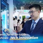 Thai Prawns Farm to table Journey Shows Tech Innovation Video Poster 