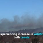 Us Experiencing Increase in Wildfires on Both Coasts Video Poster 