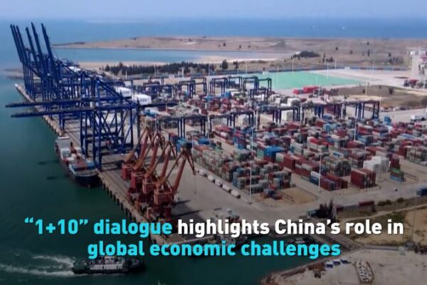 “1+10” dialogue highlights China’s role in global economic challenges video poster