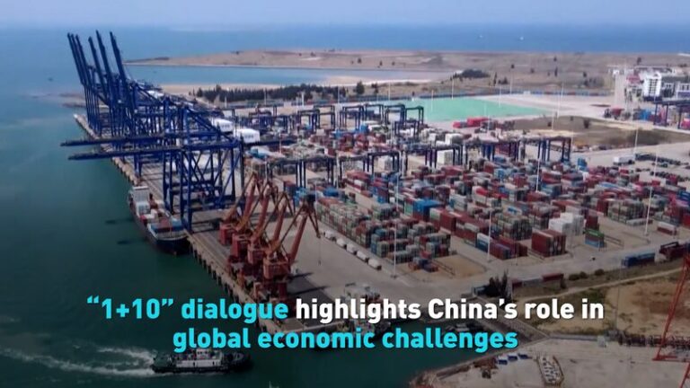 110 Dialogue Highlights Chinas Role in Global Economic Challenges Video Poster 