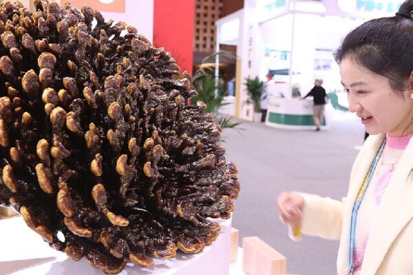 2024 World Conference on Traditional Medicine opens in Beijing