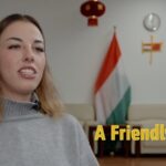 a Friendly Face Video Poster 