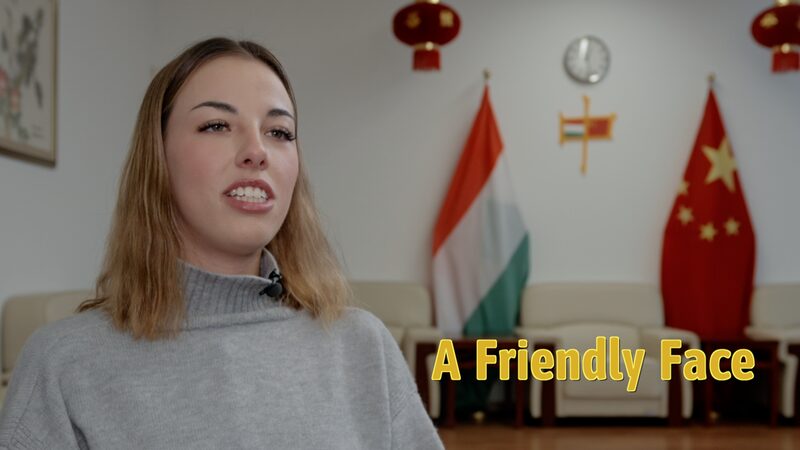 a Friendly Face Video Poster 