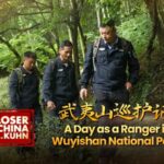 a Day As a Ranger in Wuyishan National Park Video Poster 