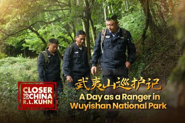 A Day in the Life of a Ranger at Wuyishan National Park A day as a ranger in Wuyishan National Park video poster