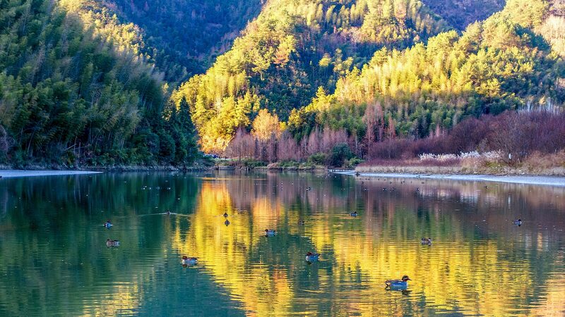 # - My News! a Vibrant Winter Morning in an East China Village Video Poster