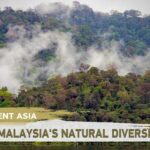 Assignment Asia Saving Malaysias Natural Diversity Video Poster 