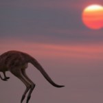 Australia Sees Hottest Spring on Record 