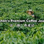 Baoshans Premium Coffee Journey Video Poster 