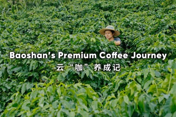 Baoshans Premium Coffee Journey Video Poster 
