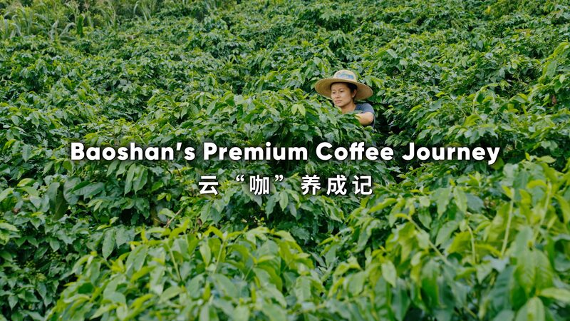 Baoshans Premium Coffee Journey Video Poster 