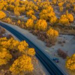Battle in the Sea of Sand Weaving a green Scarf for Xinjiang 