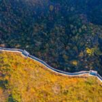 Beijings Forest Coverage Rate to Reach 45 Percent in 2025 