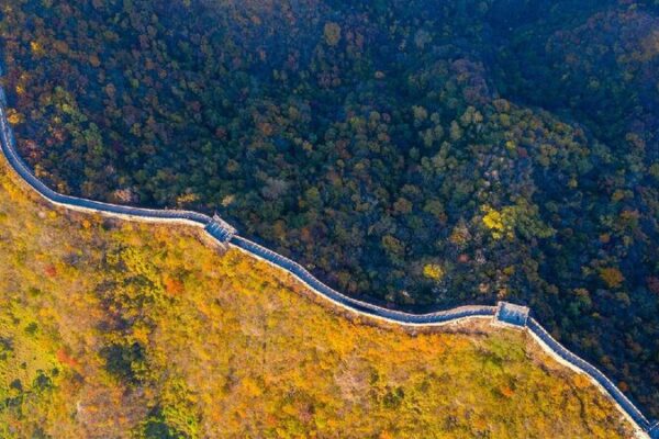 # - My News! Beijings Forest Coverage Rate to Reach 45 Percent in 2025