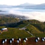 Birds eye View of E Chinas Idyllic Tea Plantations Video Poster 