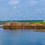 Book of Xi Jinpings Discourses on Natural Resources Work Published 