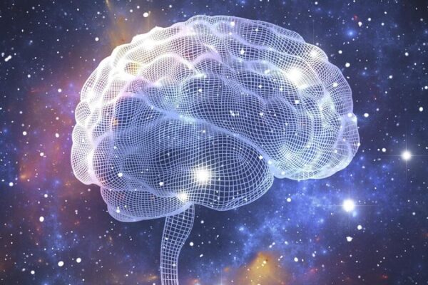 # - My News! Brain Stimulation Can Help Injured People Walk Study Finds