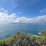 Breakthroughs in Nature Fascinating Discoveries of 2024 