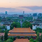 Cgtn the Vibe 20241118 