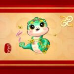 Cgtn the Vibe 20241203 