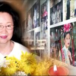 # - My News! Cgtn the Vibe 20241204