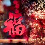 Cgtn the Vibe 20241205 