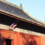 Cgtn the Vibe 20241213 