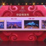 Cgtn the Vibe 20241225 