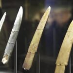 Cgtn the Vibe 20241227 