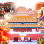 Cgtn the Vibe 20241231 