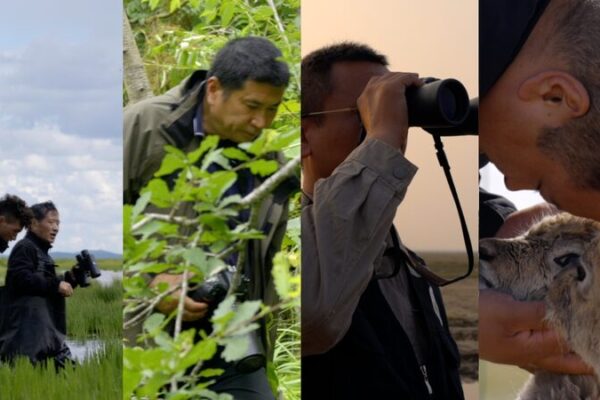 # - My News! Cgtn to Launch Documentary Series on Natures Guardians Video Poster