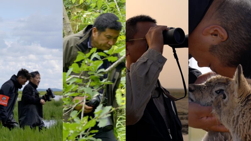 # - My News! Cgtn to Launch Documentary Series on Natures Guardians Video Poster