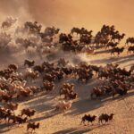 Camels Begin Winter Migration in Inner Mongolias Desert Video Poster 