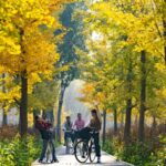 Chaoyang District an Urban Oasis 